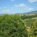Magnolie Castiglion Fiorentino