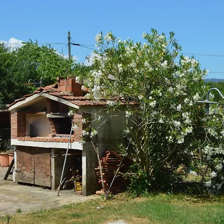 Apartment Magnolie